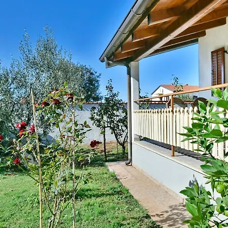 Adriatico Appartement *